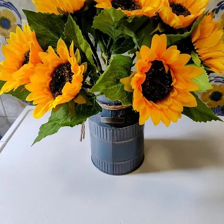 Trilocale Con Ampio Terrazzo E Posto Auto Privato 別荘 アルベンガ